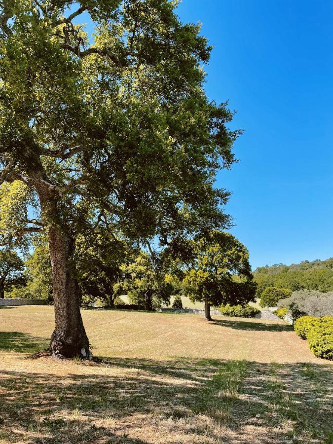 I Trulli Di Figazzano Villa Locorotondo Eksteriør billede
